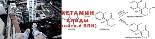 ПСИЛОЦИБИНОВЫЕ ГРИБЫ Алексин